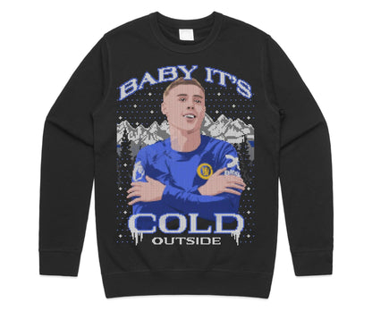 Baby Its Cold Outside Christmas Jumper - Adults  Kids Gift