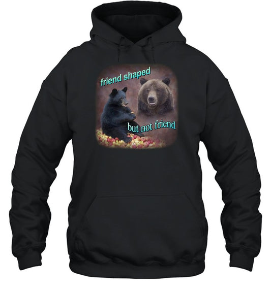 Bears Friend Shaped But Not Friend Hoodie