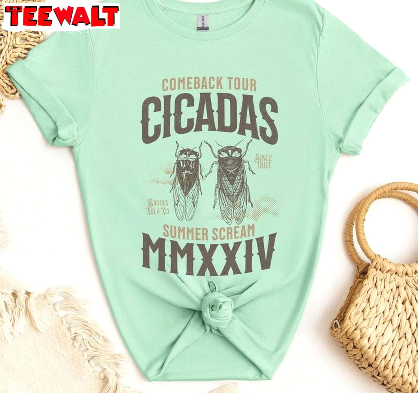 Cicada Shirt 2024 Comeback Tour Shirt, Funny Summer Unisex Hoodie Short Sleeve