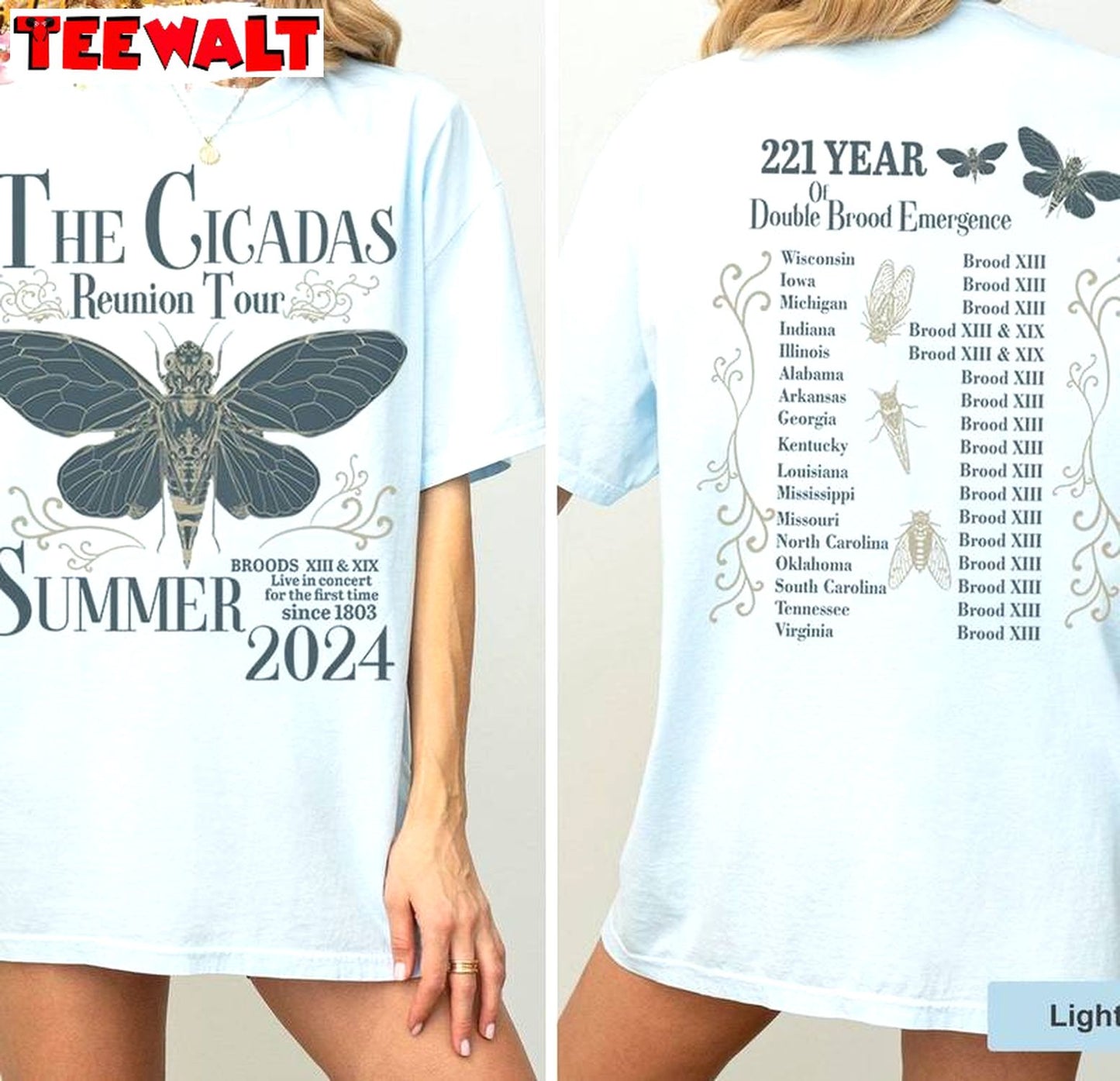 Groovy Cicada Comeback Tour Shirt, Neutral Year Of Cicada Emergence Sweater