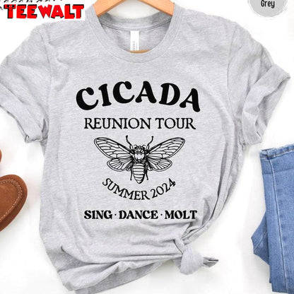 Comfort Cicada Comeback Tour Shirt, Funny Cicada Concert T Shirt Sweater