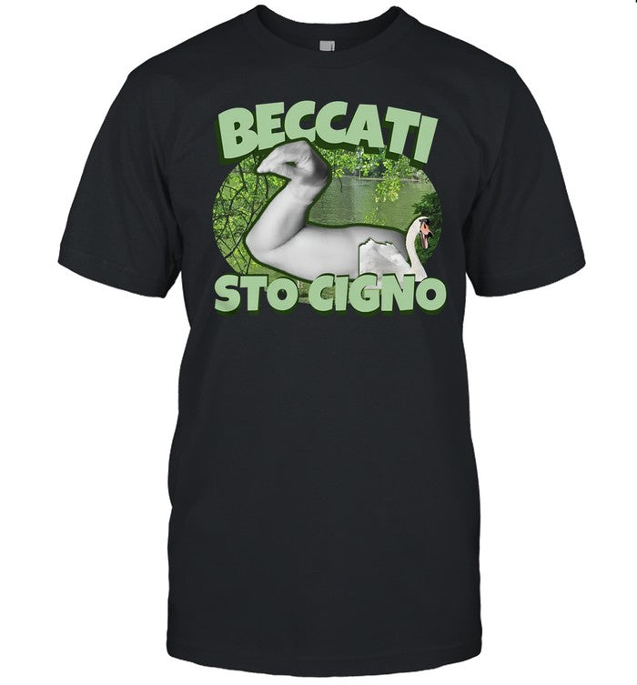 Beccati Sto Cigno Hoodie