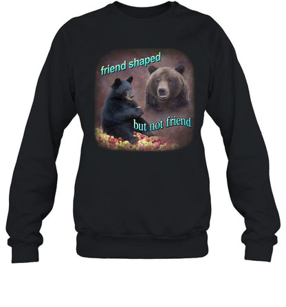 Bears Friend Shaped But Not Friend Hoodie