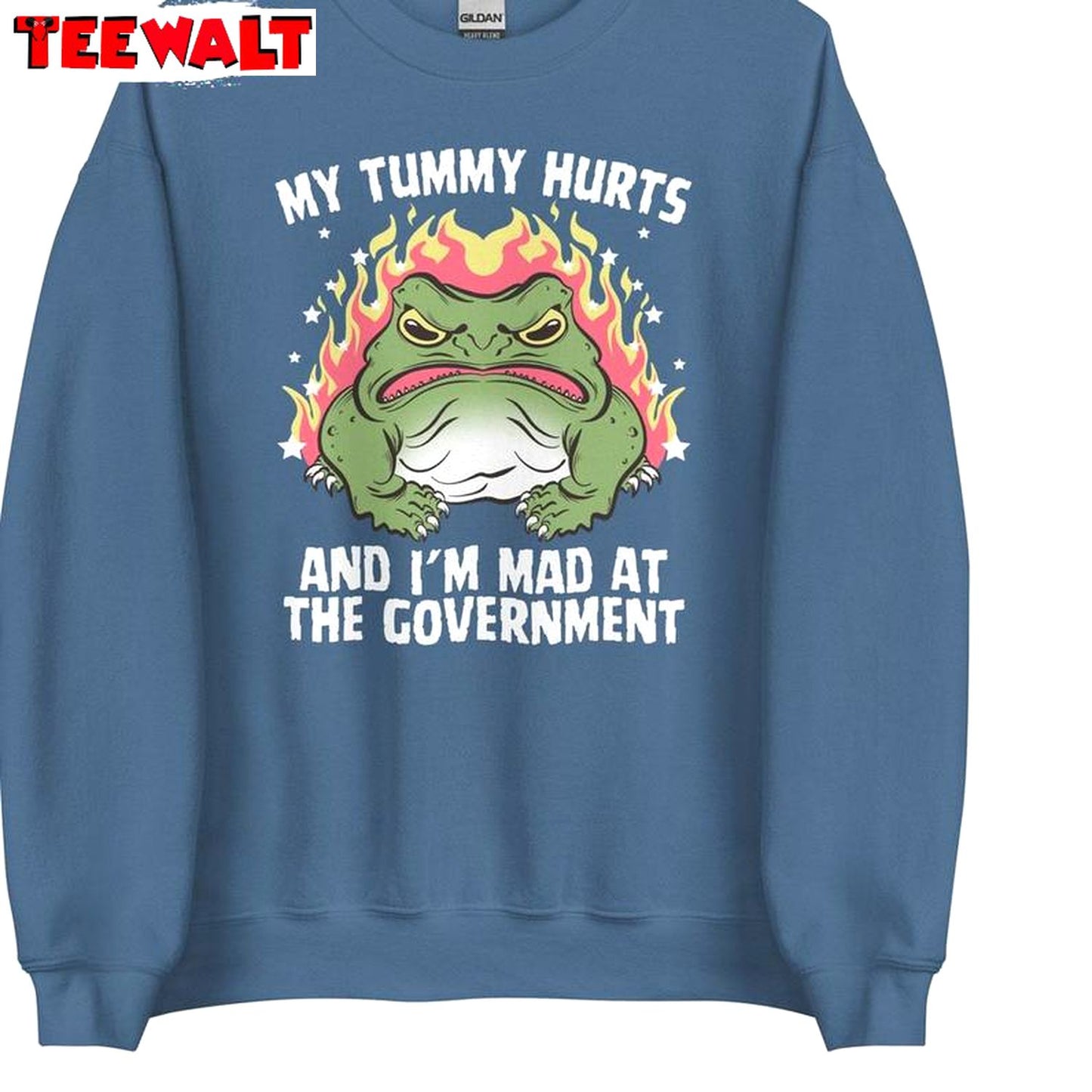 Angry Frog Unisex Hoodie, Unique My Tummy Hurts And I'm Mad At The Government Shirt Crewneck