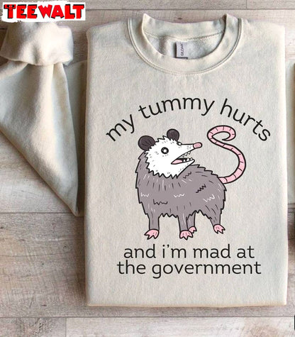 Comfort My Tummy Hurts And I'm Mad At The Government Shirt, Trashcore Sweater