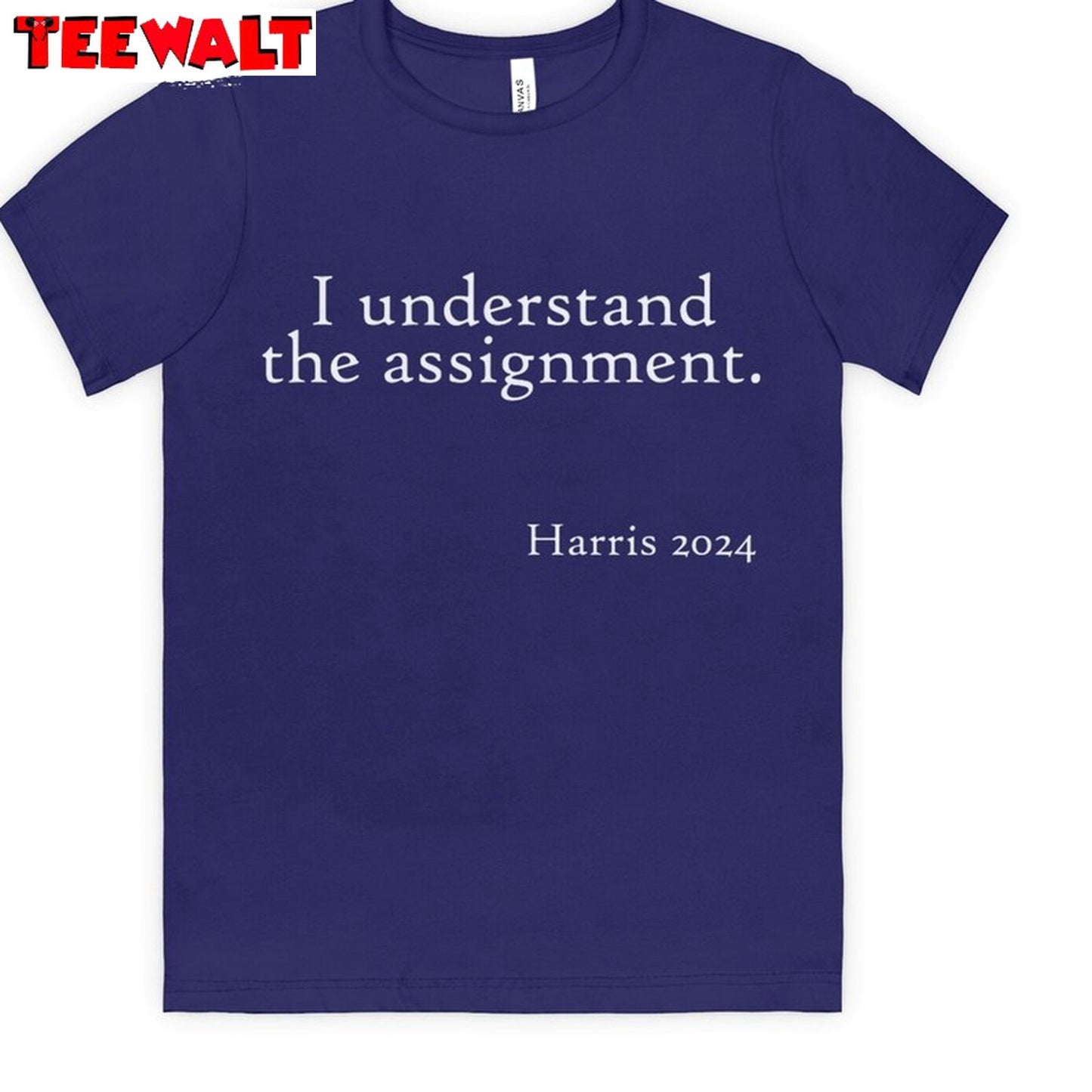 Basic I Understand The Assignment Shirt, Political Quotes Long Sleeve Sweatshirt