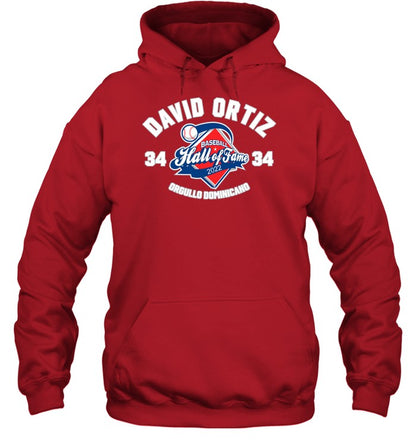 David Ortiz Baseball Hall Of Fame Orgullo Dominicano Hoodie