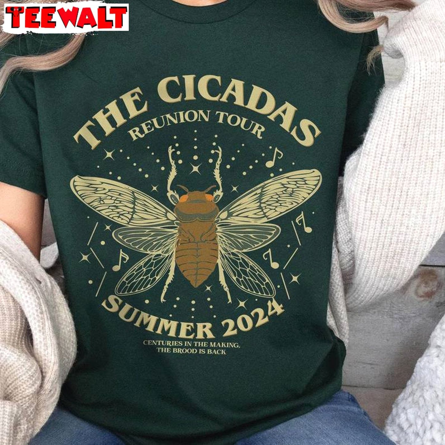 Cicada Summer 2024 Unisex Hoodie, Limited Cicada Comeback Tour