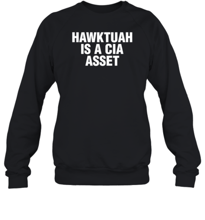 Hawk Tuah Is A Cia Asset T-Shirt