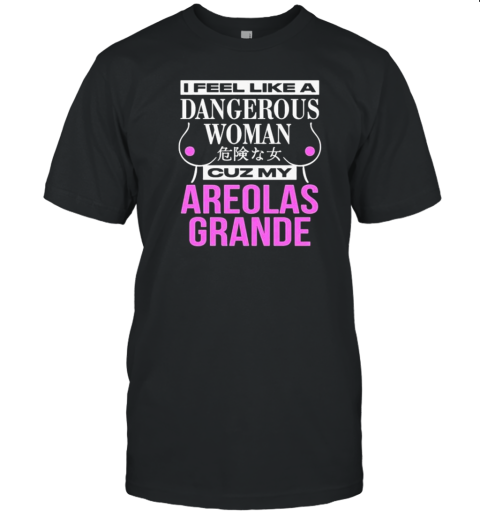 I Feel Like A Dangerous Woman Cuz My Areolas Grande T-Shirt