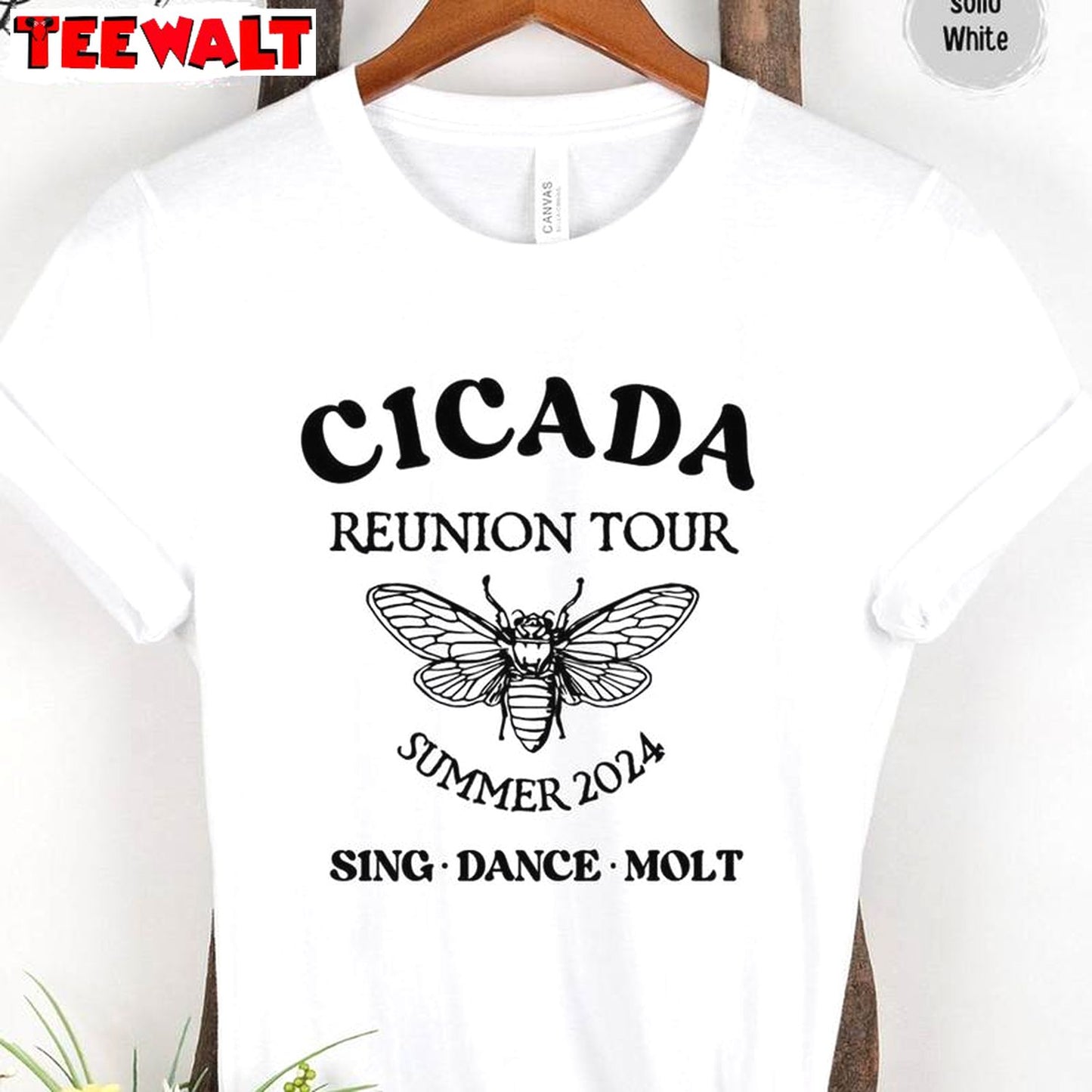 Comfort Cicada Comeback Tour Shirt, Funny Cicada Concert T Shirt Sweater