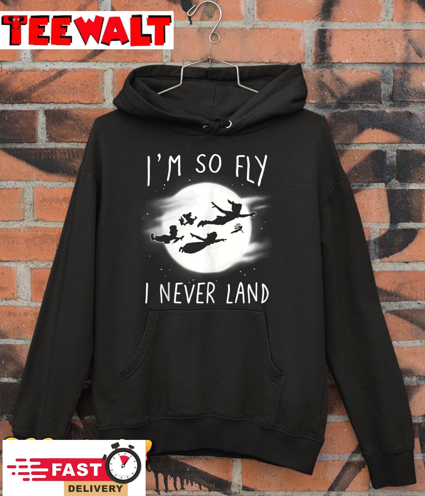 Disney Peter Pan I'm So Fly I Never Land Hoodie