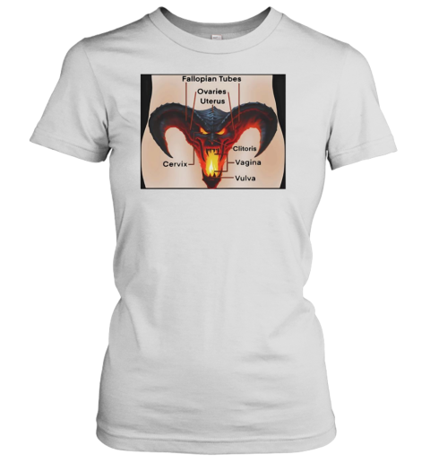 Fallopian Tubes Ovaries Uterus T-Shirt