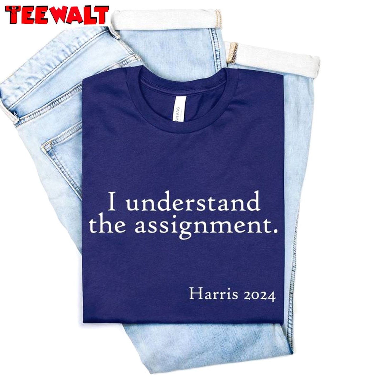 Basic I Understand The Assignment Shirt, Political Quotes Long Sleeve Sweatshirt