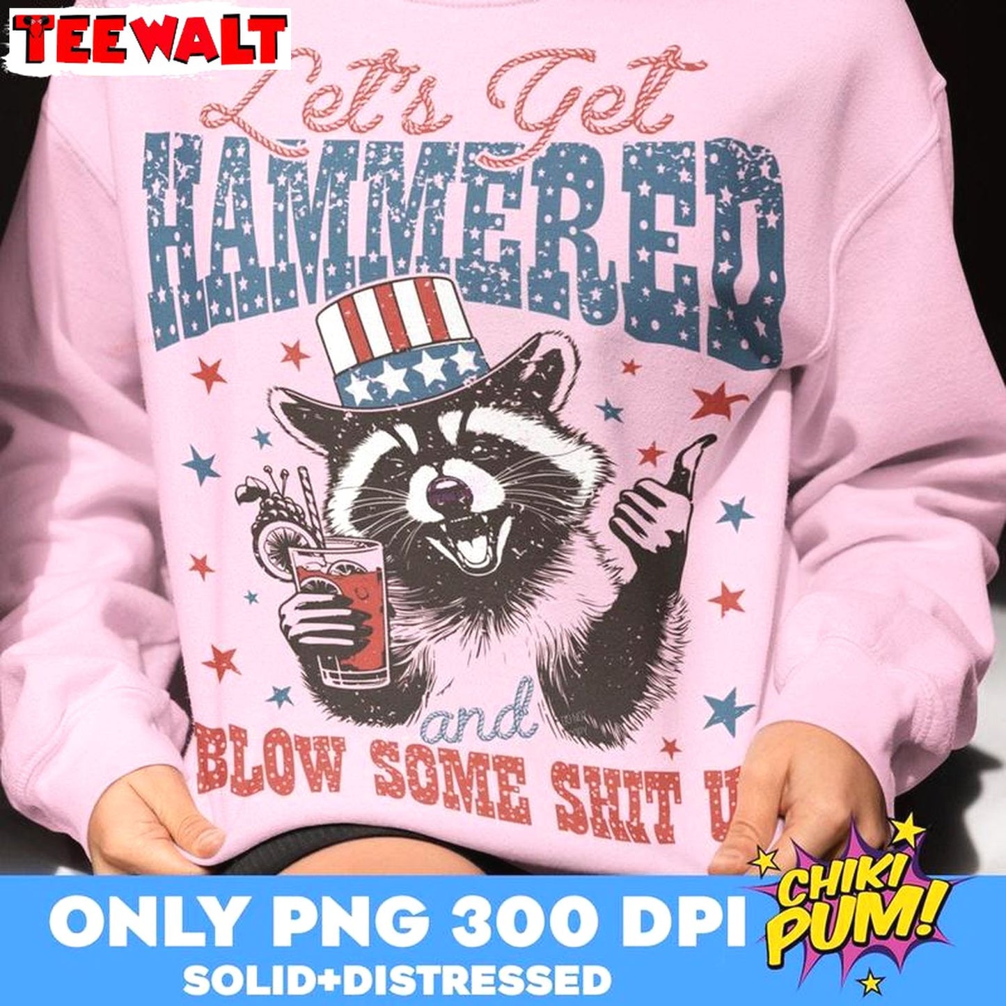 Funny Raccoon Unisex Hoodie, Groovy Lets Get Hammered And Blow Some Shit Up