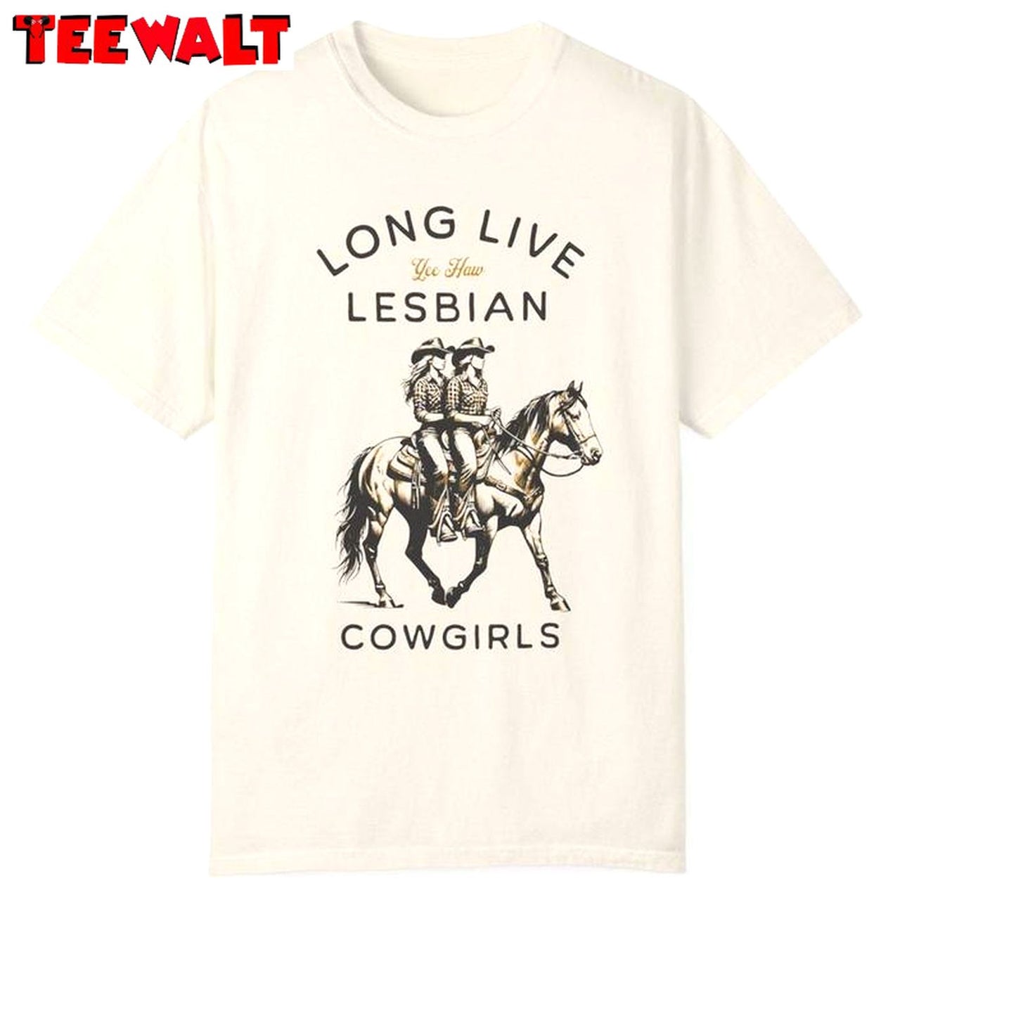 Cowgirl Queer Unisex Hoodie, Comfort Save A Horse Ride A Cowgirl