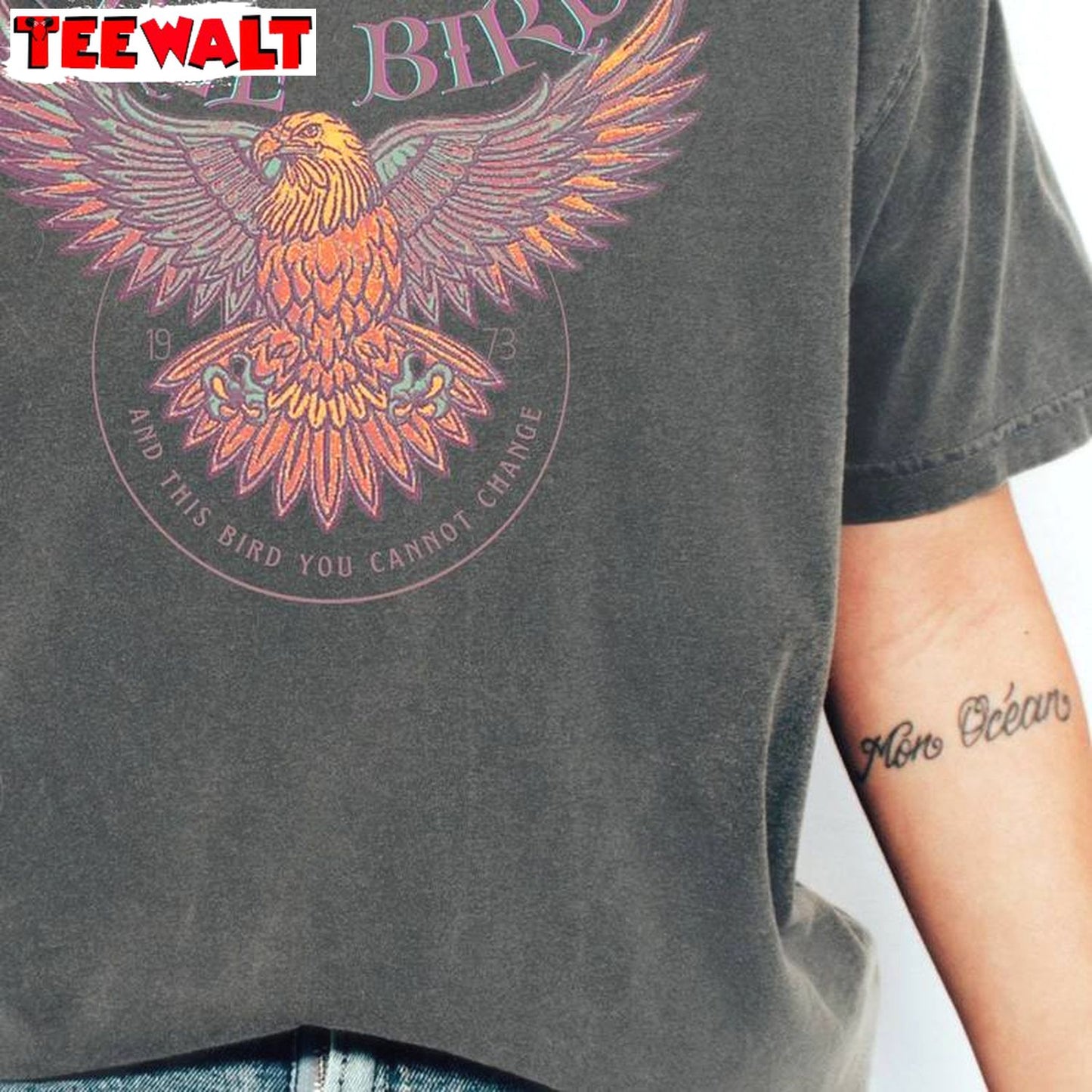 Free Bird America Cool Design Shirt, Must Have Free Bird Song Lover Sweatshirt Long Sleeve