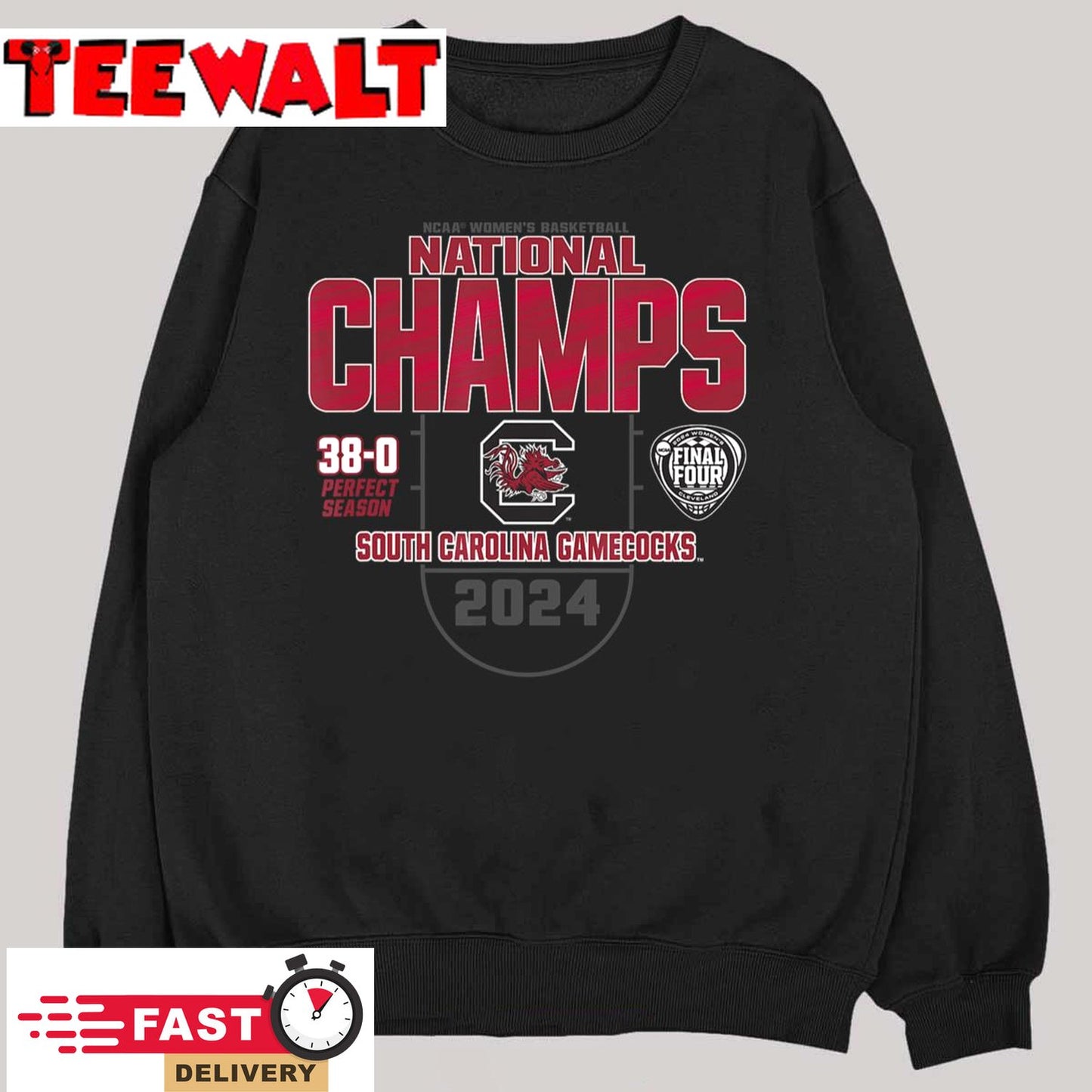 South Carolina Gamecocks National Champs 2024 Perfect Season T-Shirt