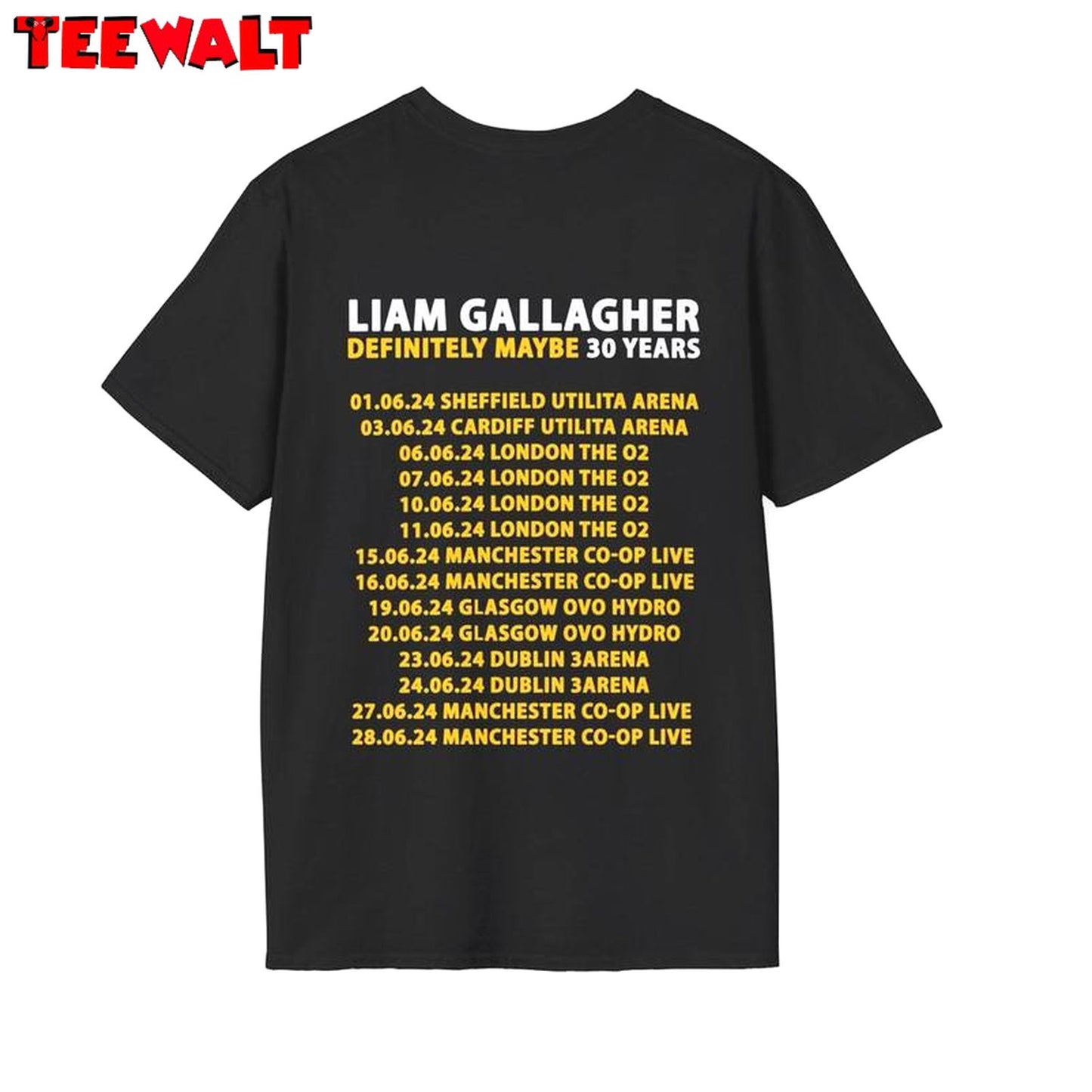 Liam Gallagher Comfort Shirt, Limited Definitely Maybe Tour 2024 Sweater