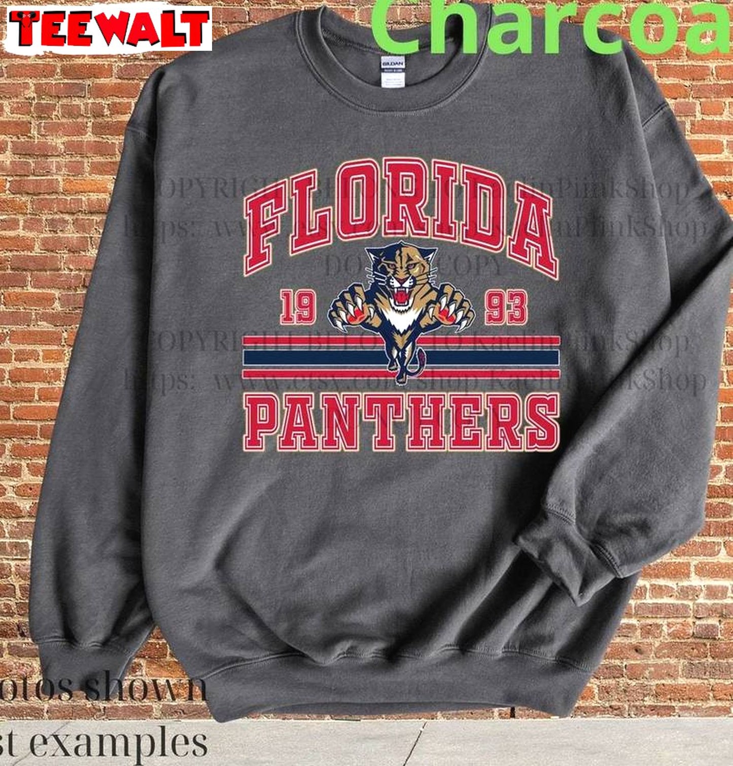 Creative Florida Hockey Hoodie , Groovy Florida Panthers Shirt Long Sleeve