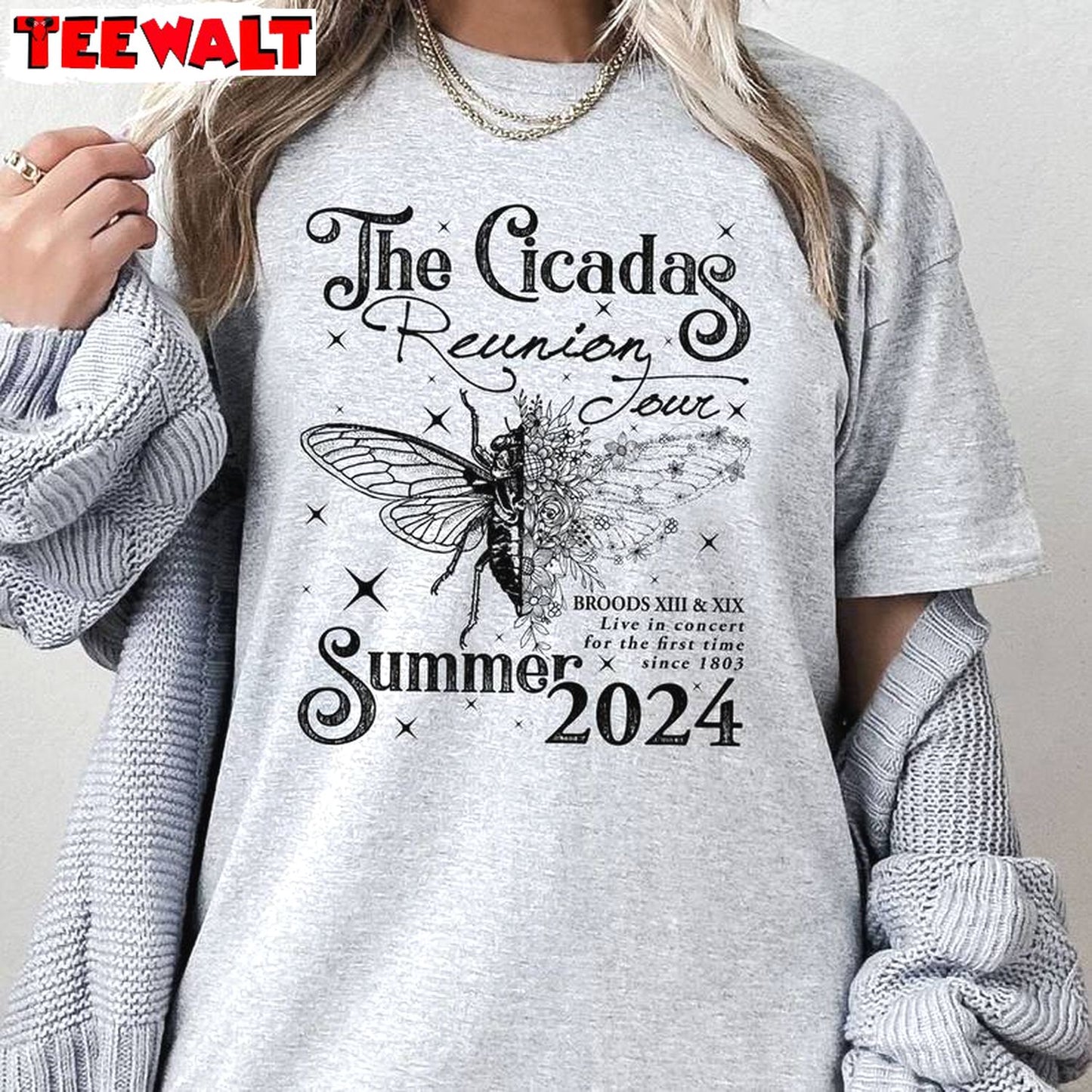 Cicada Shirt 2024 Concert Shirt, Funny Cicada Tee Summer Unisex Hoodie Short Sleeve