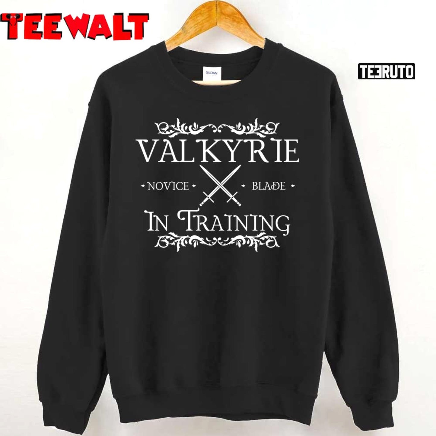 Valkyrie In Training Novice Blade Feyre And Rhysand Unisex T-Shirt