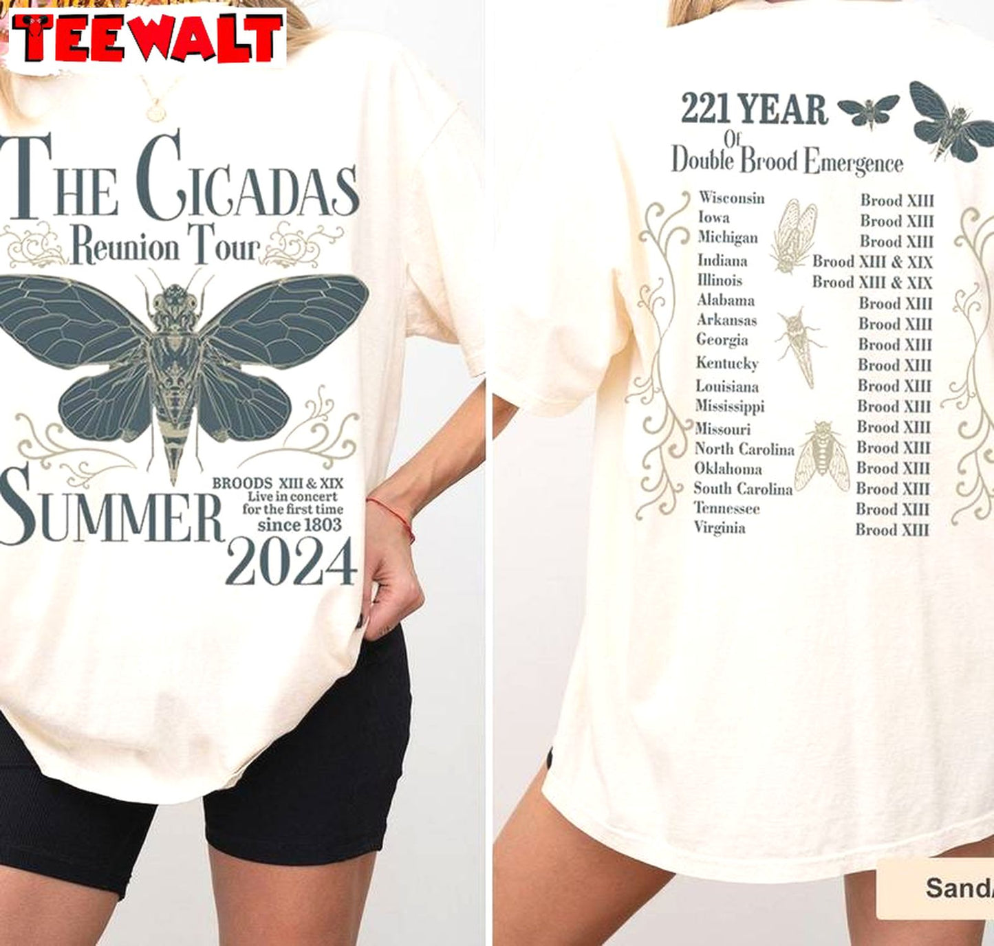 Groovy Cicada Comeback Tour Shirt, Neutral Year Of Cicada Emergence Sweater