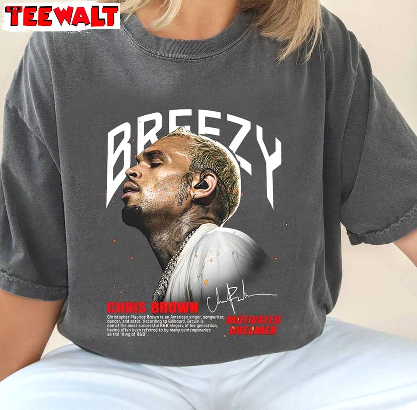 Unique Chris Brown Concert Unisex Hoodie, Groovy Chris Brown