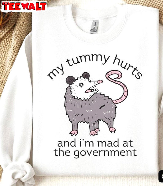 Comfort My Tummy Hurts And I'm Mad At The Government Shirt, Trashcore Sweater