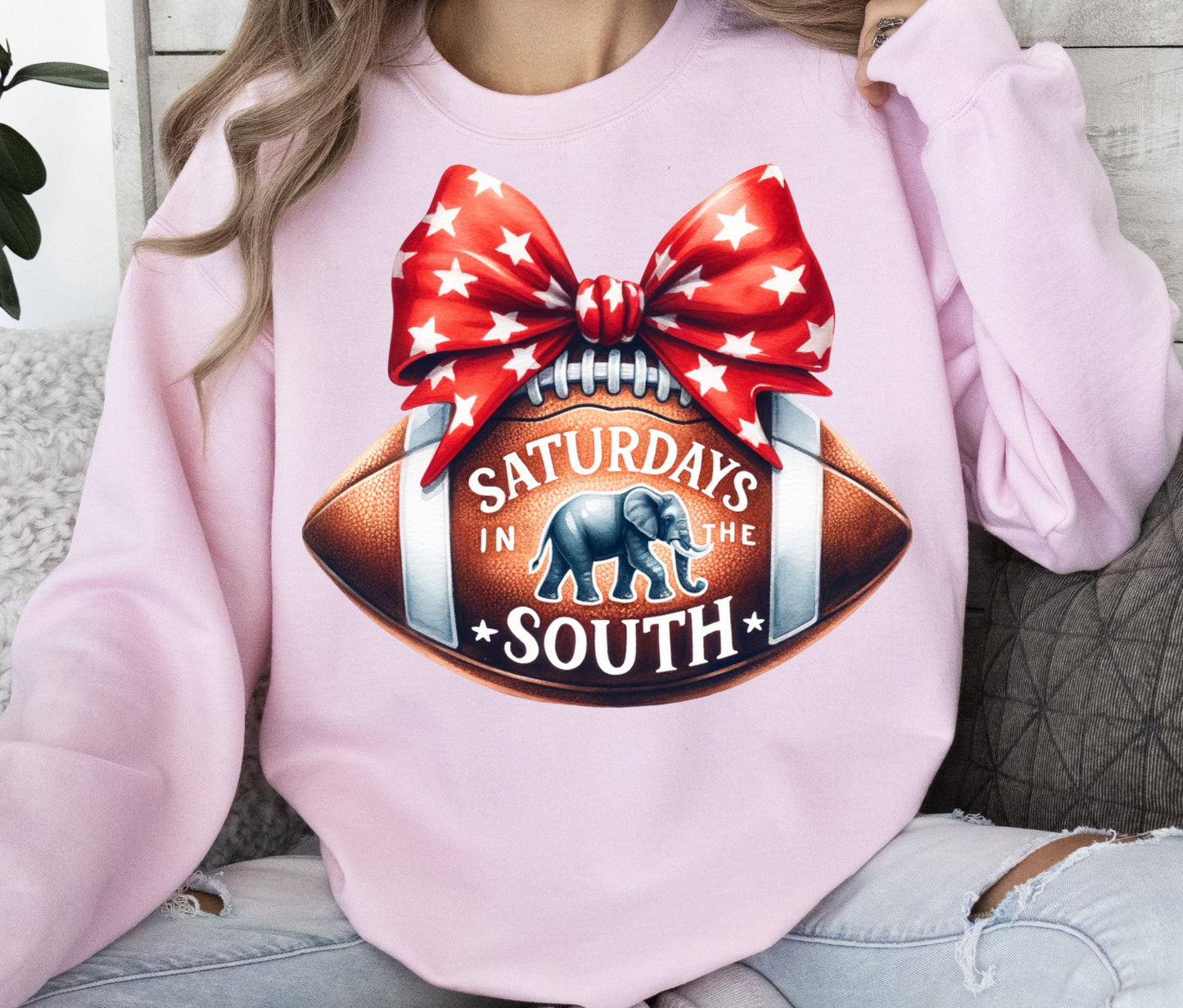 Saturdays In The South Alabama Football Touchdown Season