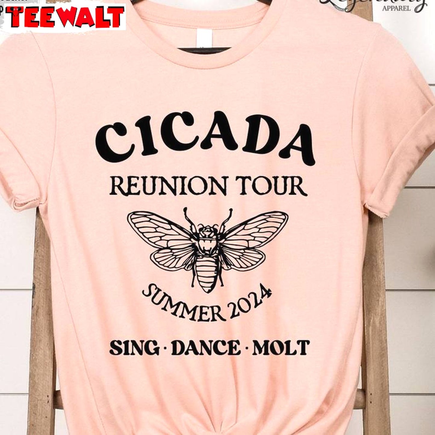 Comfort Cicada Comeback Tour Shirt, Funny Cicada Concert T Shirt Sweater