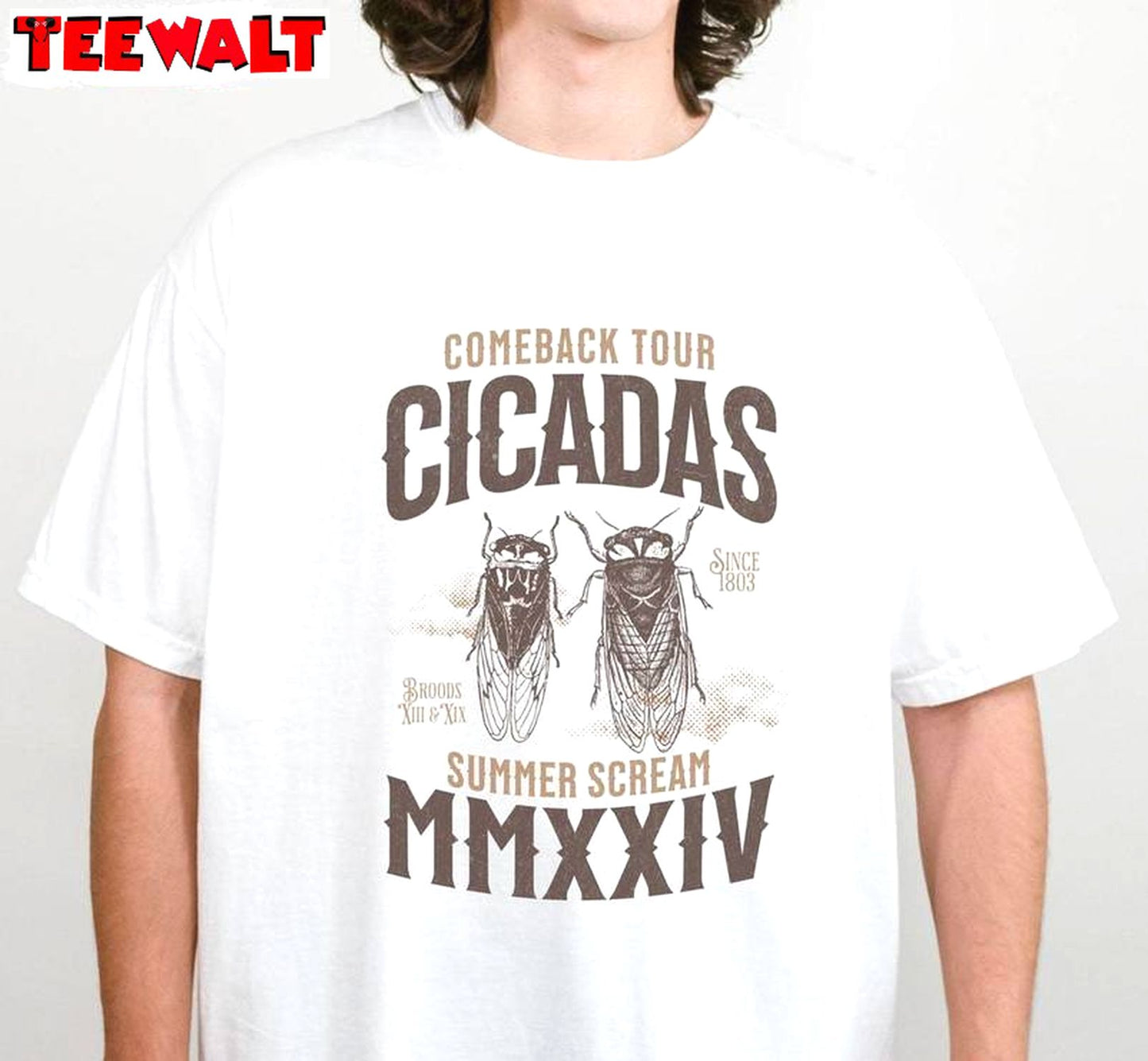 Cicada Shirt 2024 Comeback Tour Shirt, Funny Summer Unisex Hoodie Short Sleeve