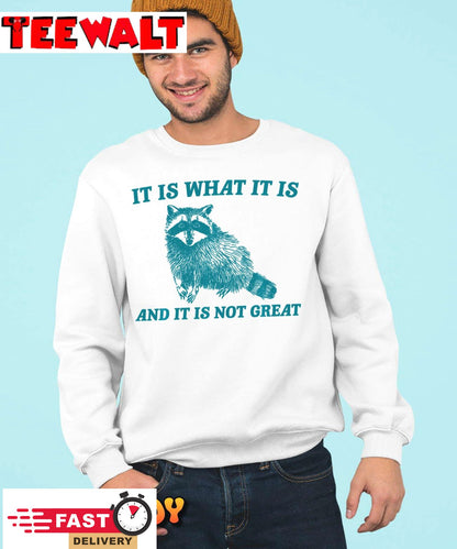 It Is What It Is And It Is Not Great Raccoon Sweatshirt