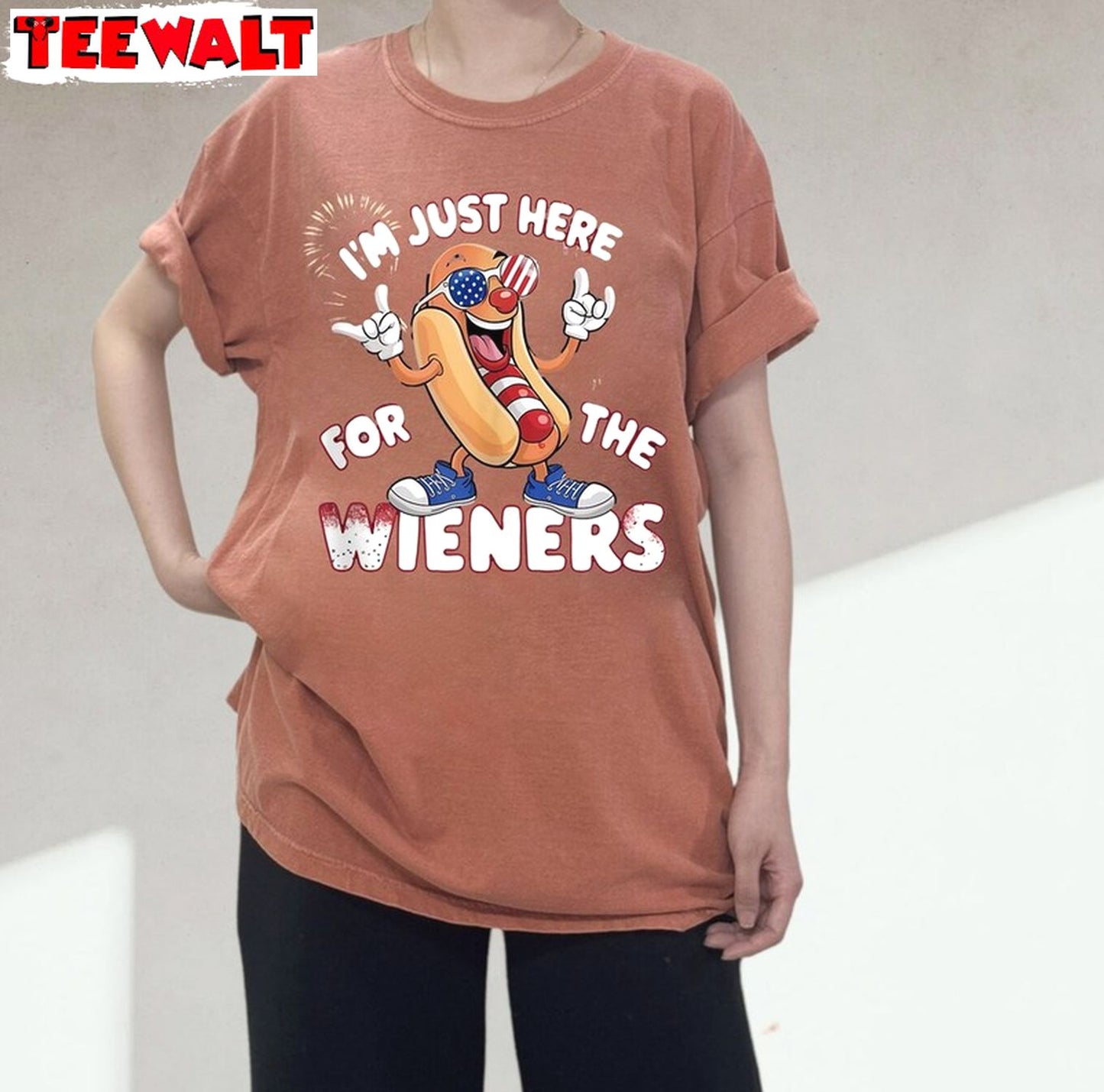 4th Of July Party Unisex Hoodie, Groovy Just Here For The Wieners