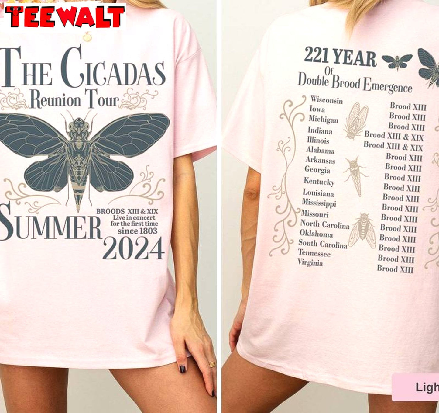 Groovy Cicada Comeback Tour Shirt, Neutral Year Of Cicada Emergence Sweater