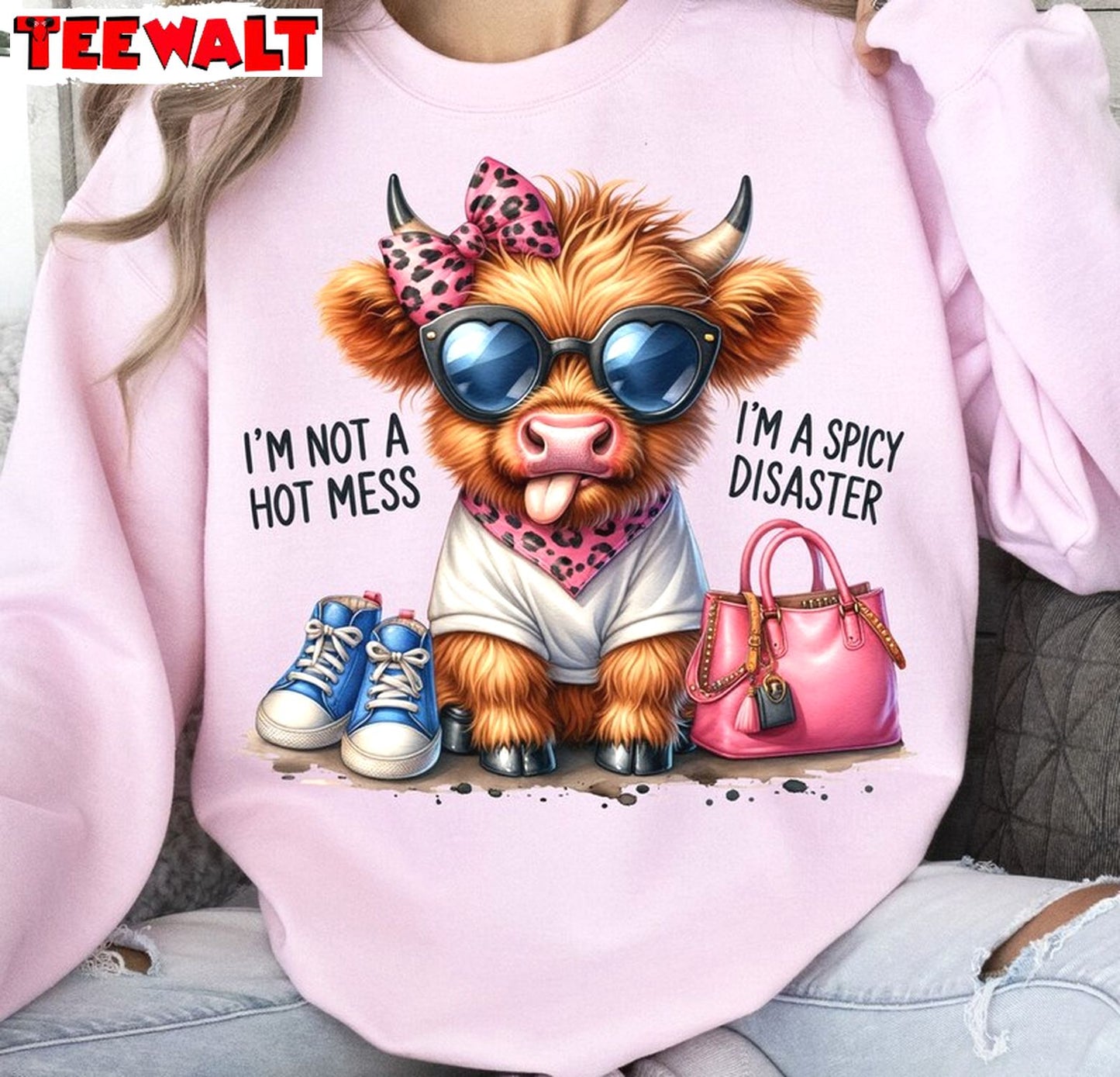 Funny Highland Cow Unisex Hoodie, Groovy I'm Not A Hot Mess I'm A Spicy Disaster Shirt Hoodie