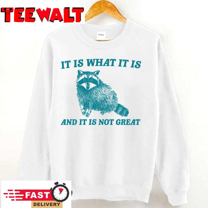 It Is What It Is And It Is Not Great Raccoon Sweatshirt