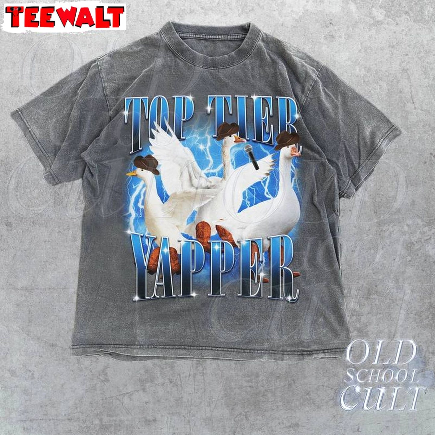 Groovy Top Tier Yapper Shirt, Goose Yapper Long Sleeve Tee Tops